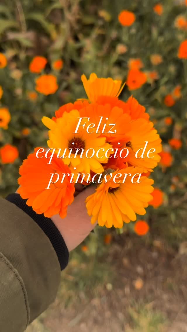 Flores de color naranja en el vídeo de Siempre Sostenidas sobre el equinoccio de primavera